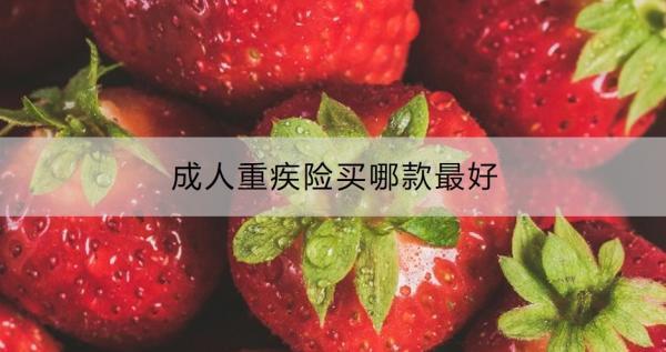成人重疾險買哪款最好？有必要買嗎？