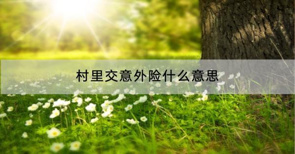 村里交意外險什么意思？有什么優(yōu)勢？