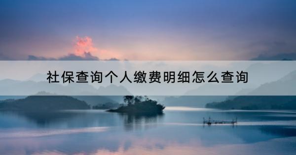 社保查詢個人繳費明細怎么查詢？怎么繳費？