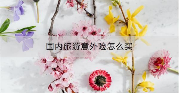 國內(nèi)旅游意外險怎么買？投保需要注意什么？