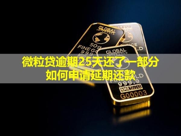 微粒貸逾期25天還了一部分如何申請延期還款？會被要求還全款嗎？