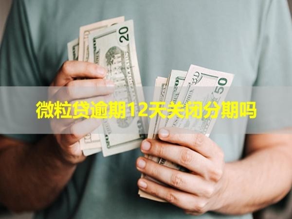微粒貸逾期12天關(guān)閉分期嗎？看看就懂了！