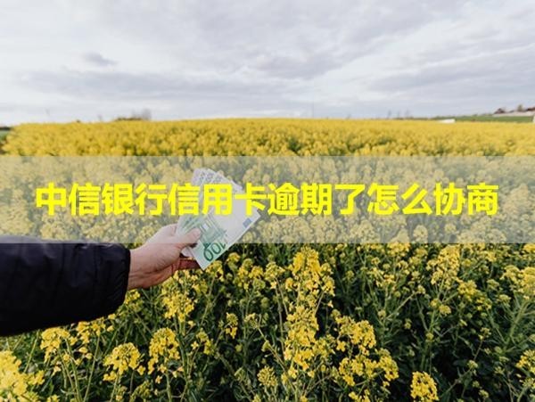 中信銀行信用卡逾期了怎么協(xié)商
