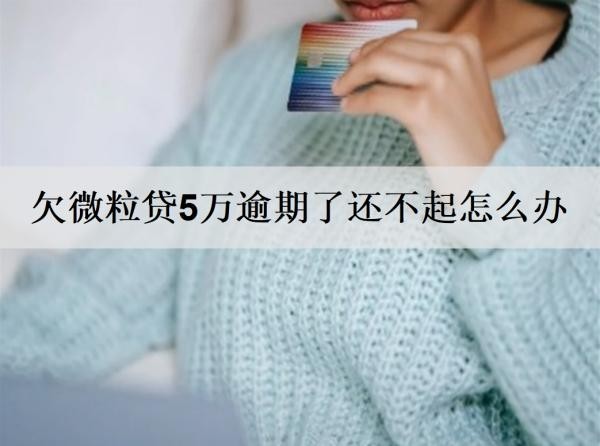 欠微粒貸5萬(wàn)逾期了還不起怎么辦？詳細(xì)分析微粒貸逾期解決辦法