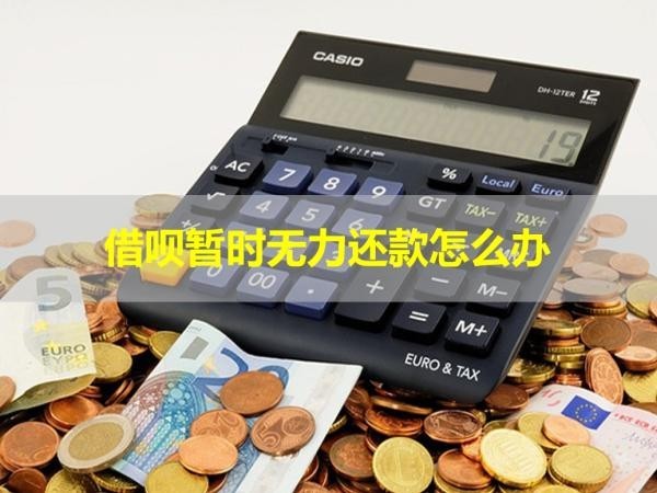 借唄暫時(shí)無(wú)力還款怎么辦