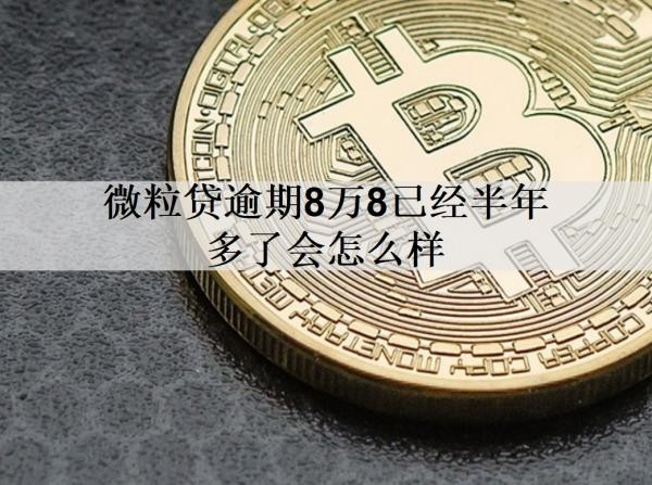 微粒貸逾期8萬8已經(jīng)半年多了會怎么樣？能協(xié)商延期嗎？