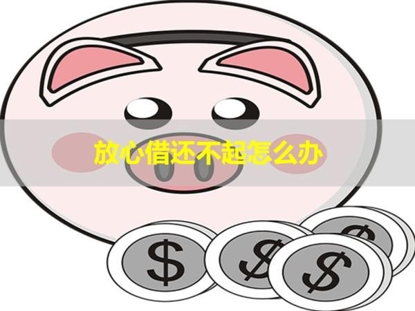 放心借還不起怎么辦？詳細說明