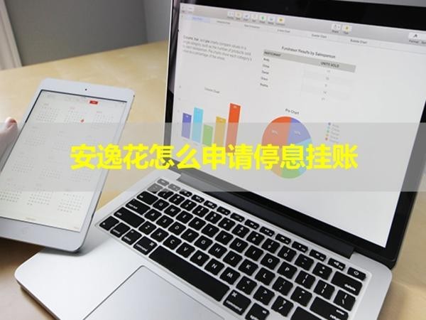 安逸花怎么申請(qǐng)停息掛賬？詳細(xì)步驟