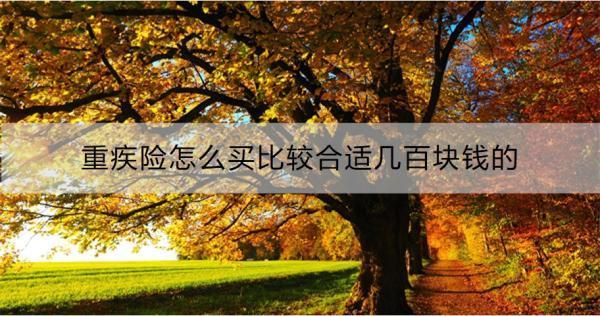 重疾險怎么買比較合適幾百塊錢的