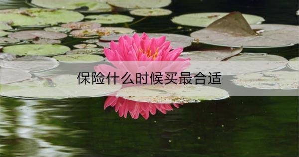 保險(xiǎn)什么時(shí)候買(mǎi)最合適？把握這三個(gè)時(shí)機(jī)
