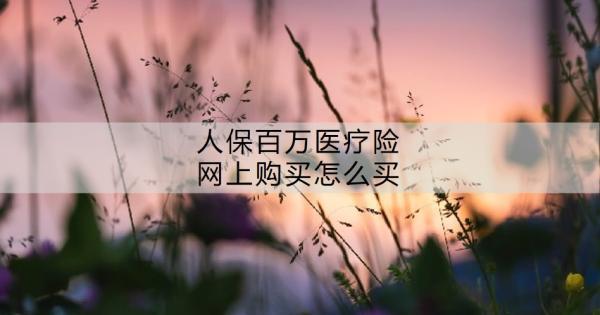 人保百萬(wàn)醫(yī)療險(xiǎn)網(wǎng)上購(gòu)買(mǎi)怎么買(mǎi)？人保金醫(yī)保百萬(wàn)醫(yī)療有什么優(yōu)點(diǎn)？