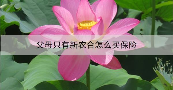 父母只有新農(nóng)合怎么買(mǎi)保險(xiǎn)？買(mǎi)保險(xiǎn)要注意什么？