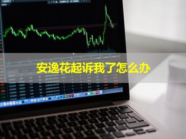 安逸花起訴我了怎么辦