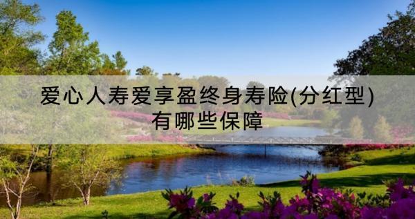 愛心人壽愛享盈終身壽險(xiǎn)(分紅型)有哪些保障？怎么樣？