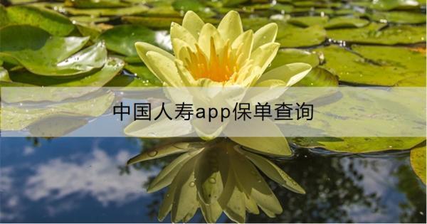 中國人壽app保單查詢流程是什么？查詢不到為什么？