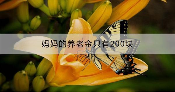 媽媽的養(yǎng)老金只有200塊怎么辦？養(yǎng)老金怎么領??？