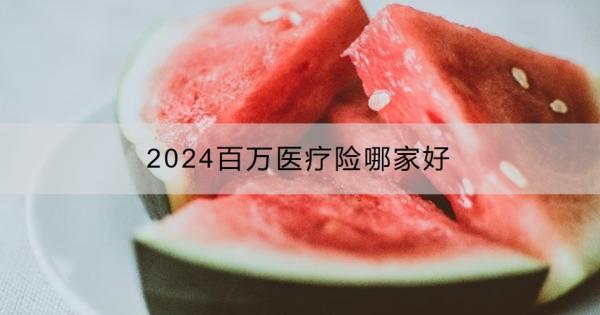 2024百萬醫(yī)療險哪家好
