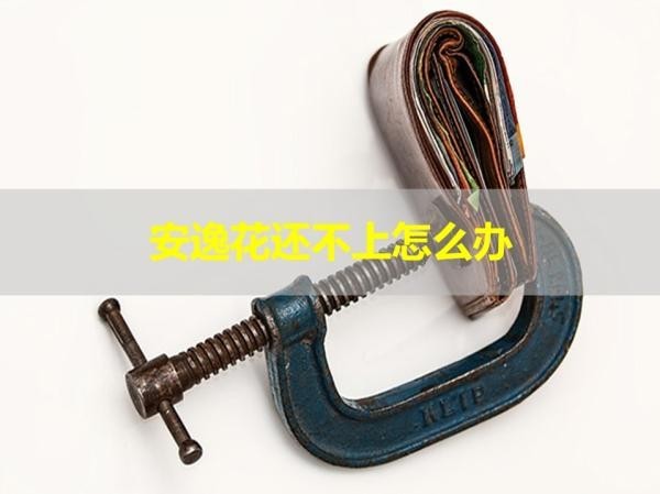 安逸花還不上怎么辦？解決辦法