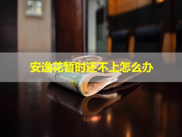 安逸花暫時還不上怎么辦？多種方式處理