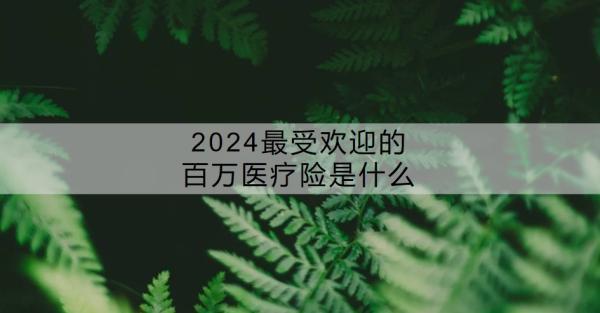2024最受歡迎的百萬(wàn)醫(yī)療險(xiǎn)是什么？百萬(wàn)醫(yī)療險(xiǎn)有必要買(mǎi)嗎？