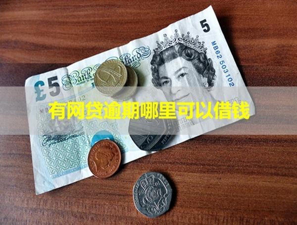 有網(wǎng)貸逾期哪里可以借錢？這些可以