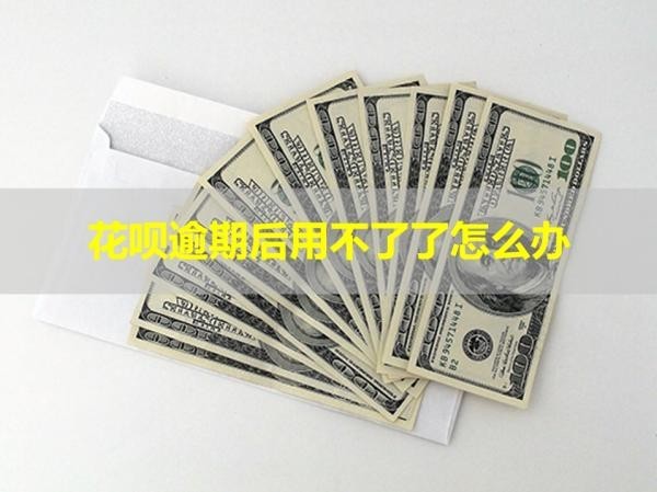 花唄逾期后用不了了怎么辦