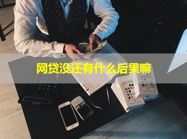 網(wǎng)貸沒還有什么后果嘛？很嚴(yán)重