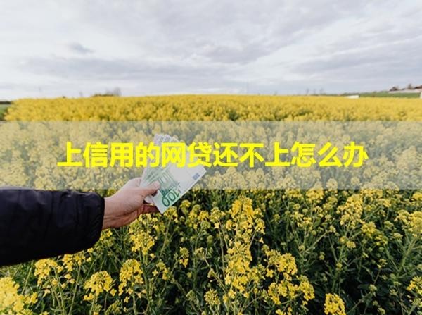 上信用的網(wǎng)貸還不上怎么辦？詳細說明
