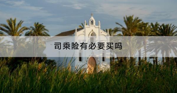 司乘險有必要買嗎？買多少合適？