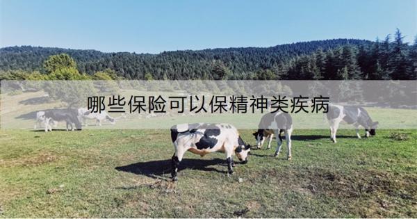 哪些保險(xiǎn)可以保精神類(lèi)疾?。抠I(mǎi)保險(xiǎn)要注意什么？