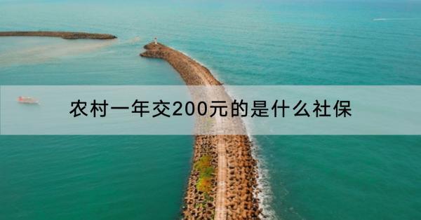 農(nóng)村一年交200元的是什么社保？每年繳費(fèi)還是一次性補(bǔ)繳好？