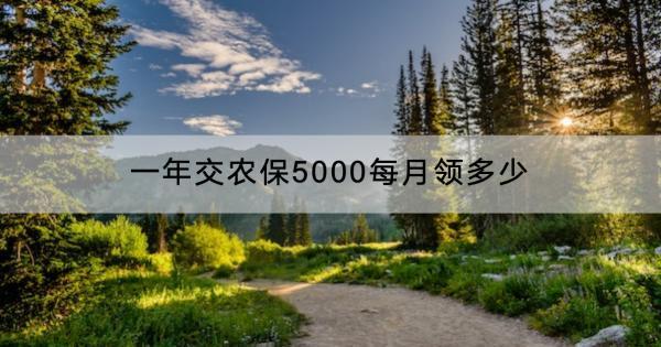 一年交農(nóng)保5000每月領(lǐng)多少