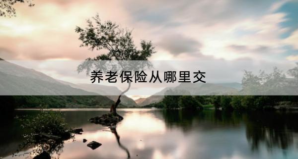 養(yǎng)老保險(xiǎn)從哪里交？繳納證明怎么開？