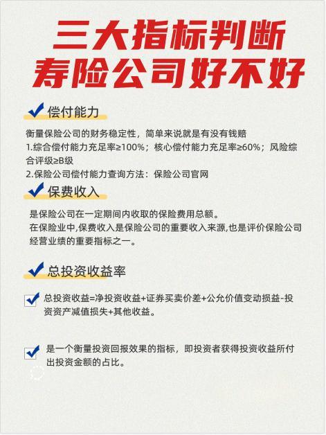 2024年壽險(xiǎn)公司排名