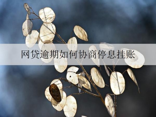 網(wǎng)貸逾期如何協(xié)商停息掛賬？一文為大家介紹協(xié)商停息掛賬的流程