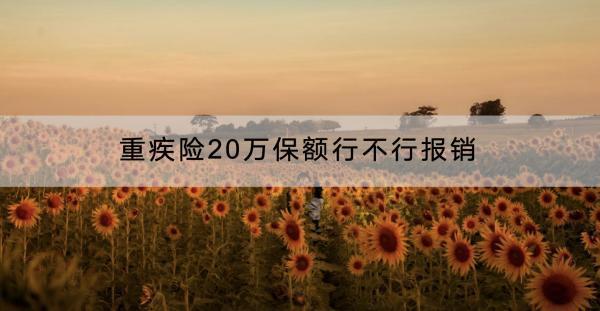 重疾險20萬保額行不行報銷？購買條件是什么？
