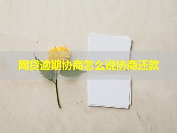 網(wǎng)貸逾期協(xié)商怎么說協(xié)商還款？三步即可完成