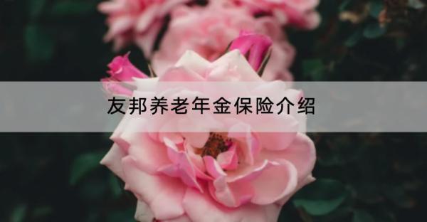 友邦養(yǎng)老年金保險(xiǎn)介紹？有什么優(yōu)點(diǎn)？