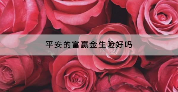 平安的富贏金生險好嗎？有哪些投保要求？