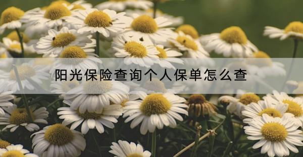 陽(yáng)光保險(xiǎn)查詢個(gè)人保單怎么查？保單用途是哪些？