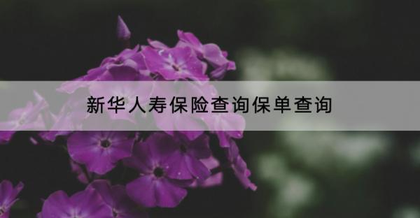 新華人壽保險查詢保單查詢怎么查？保單號是什么？