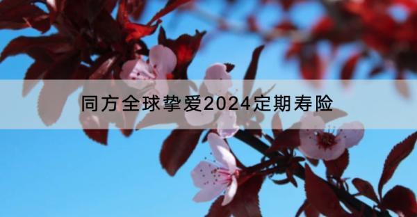 同方全球摯愛2024定期壽險有哪些投保規(guī)則？有什么保障？