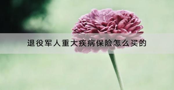 退役軍人重大疾病保險(xiǎn)怎么買的？購(gòu)買有什么好處？