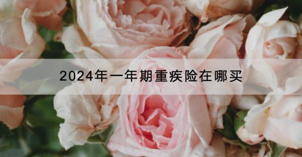2024年一年期重疾險在哪買？哪款產(chǎn)品好？