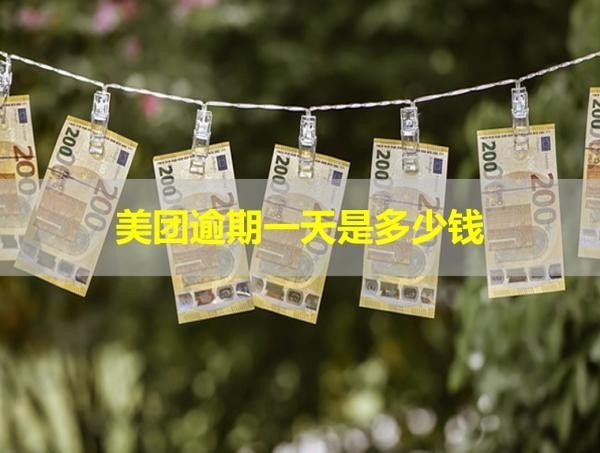 美團逾期一天是多少錢？會不會真的給你家寄律師函？