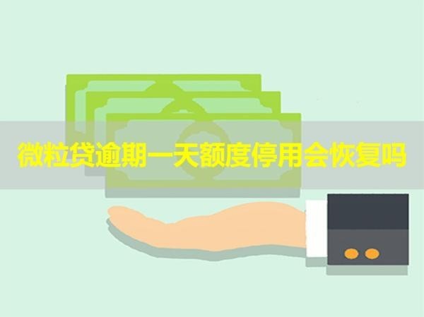 微粒貸逾期一天額度停用會(huì)恢復(fù)嗎？看完就知道