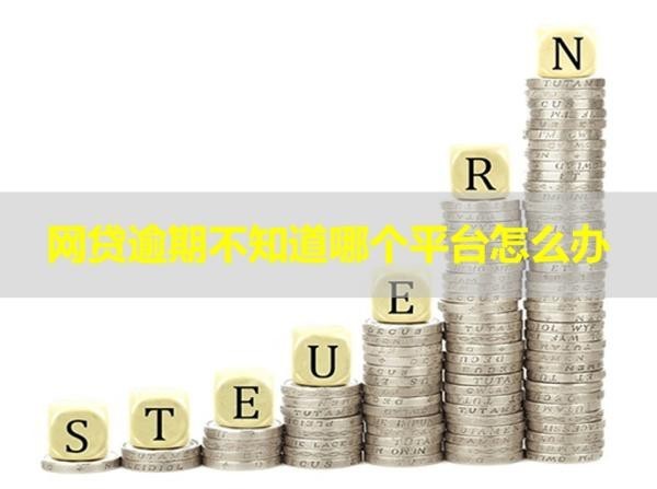 網(wǎng)貸逾期不知道哪個(gè)平臺(tái)怎么辦？詳情分析