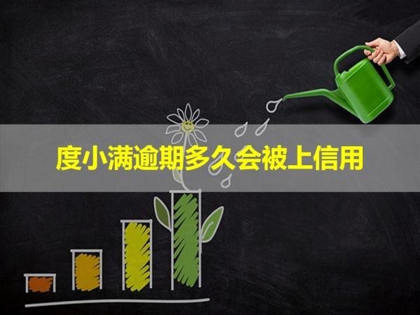 度小滿逾期多久會(huì)被上信用？看完就知道
