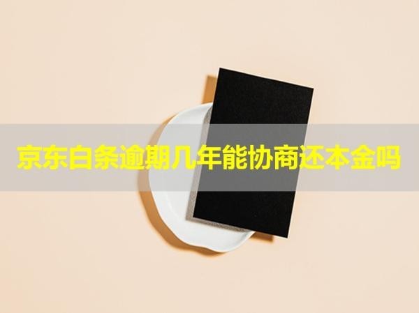京東白條逾期幾年能協(xié)商還本金嗎？具體流程