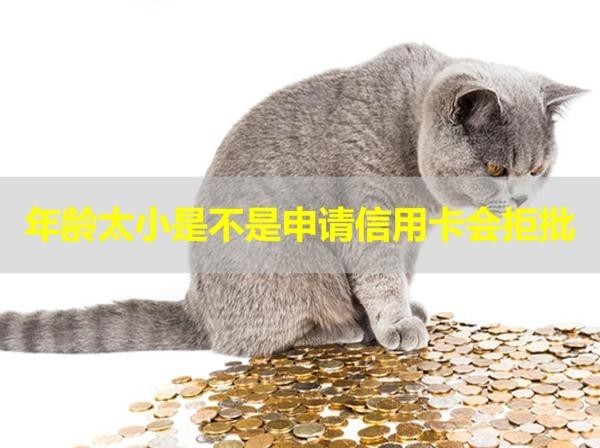 年齡太小是不是申請信用卡會拒批？看看就知道